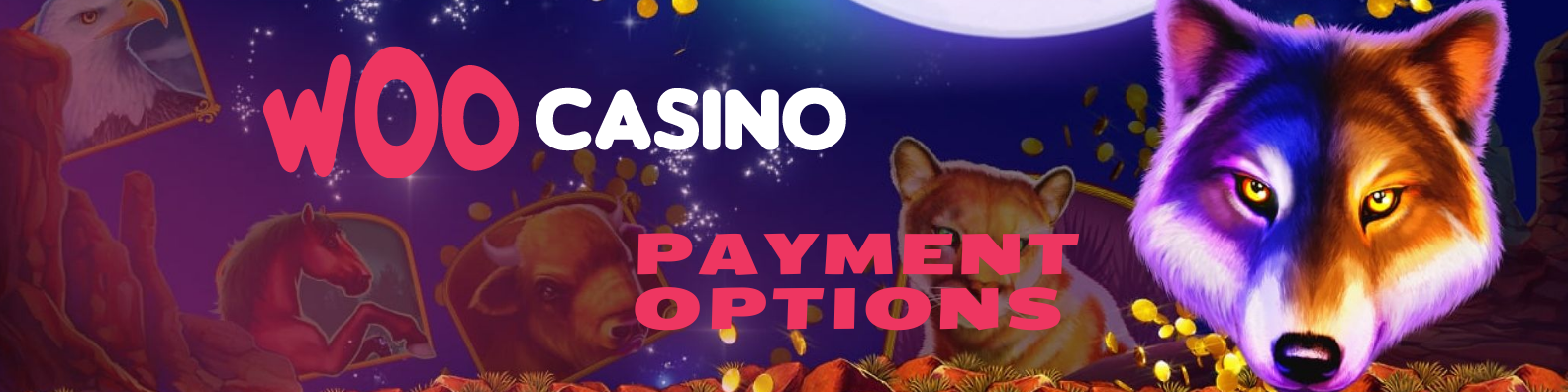 Woo Casino Payment Options